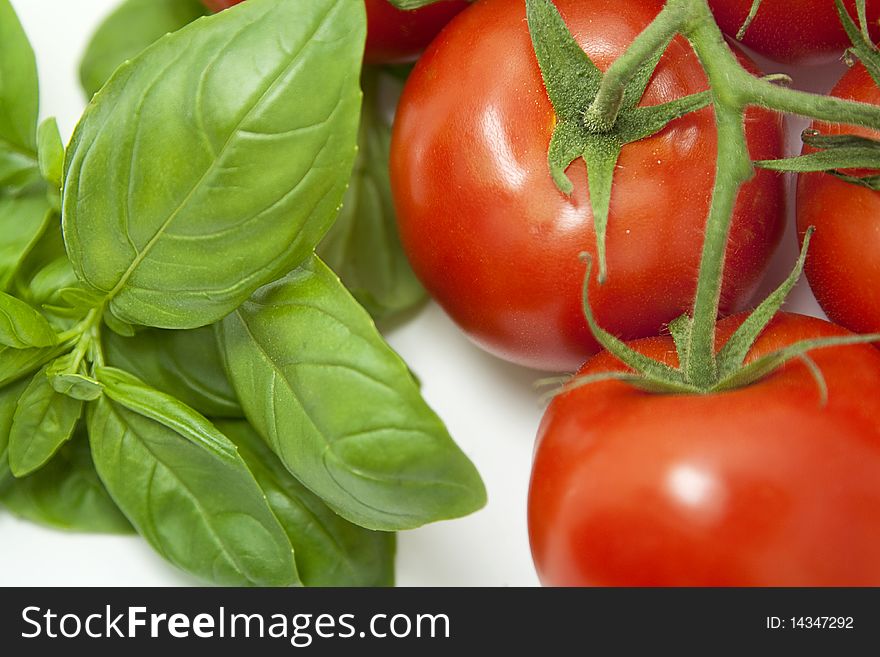 Mediterranean diet: fresh basil and tomatoes on the vine against a white background. Mediterranean diet: fresh basil and tomatoes on the vine against a white background