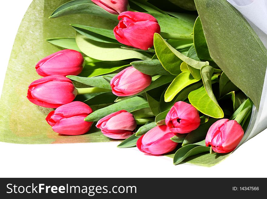 Beautiful pink tulips wrapped as a gift. Beautiful pink tulips wrapped as a gift