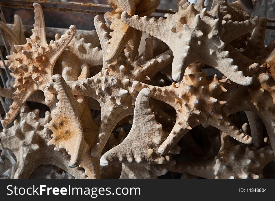 A Pile Of Dried Starfish
