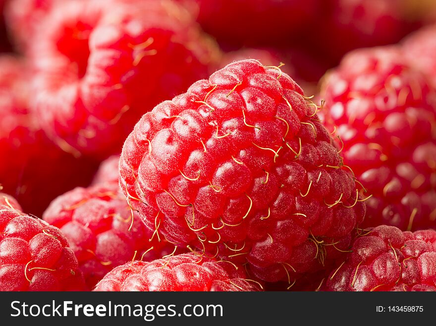 Raspberry, background of raspberry berries