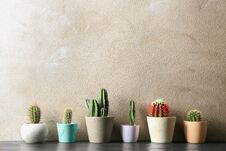 Potted Cacti On Table Near Color Background. Interior Decor Stock Photo