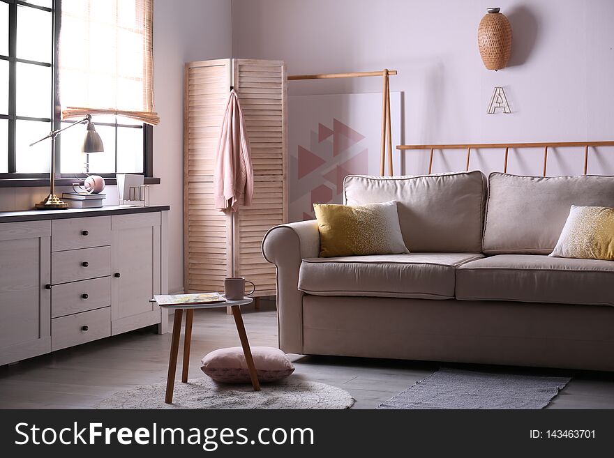 Modern living room interior with comfortable sofa. Modern living room interior with comfortable sofa