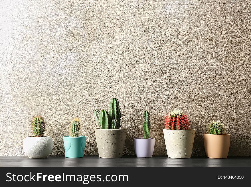 Different potted cacti on table near color background, space for text. Interior decor. Different potted cacti on table near color background, space for text. Interior decor