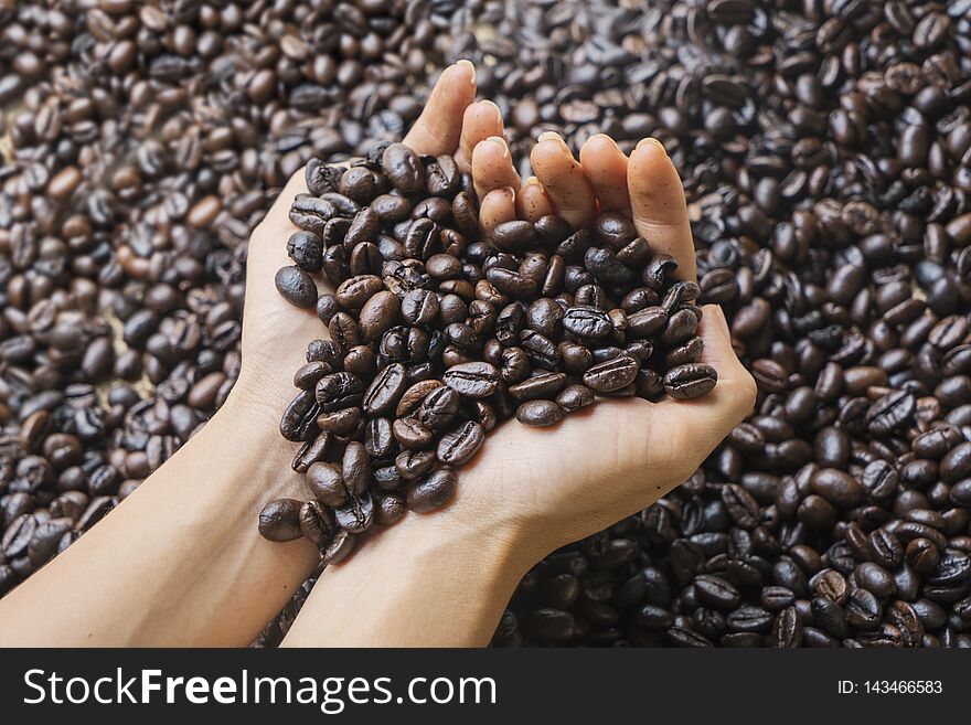 Woman hands holding fresh roasted coffee beans