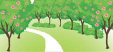 Summer Landscape Royalty Free Stock Photo Summer Landscape Royalty Free Stock Photo