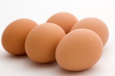 Chicken Eggs Royalty Free Stock Image