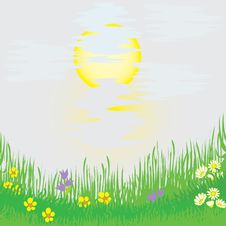 Landscape With Grass, Flowers, Sun Royalty Free Stock Photography