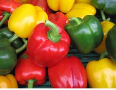 Three Colours On Pepper Royalty Free Stock Photo