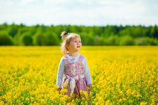 Girl On The Meadow Stock Image Girl On The Meadow Stock Image