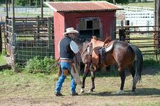 Cowboy Riding A Horse Stock Photo