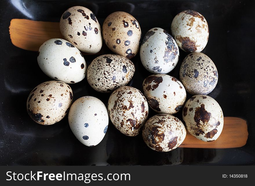 Quail Eggs Close-up