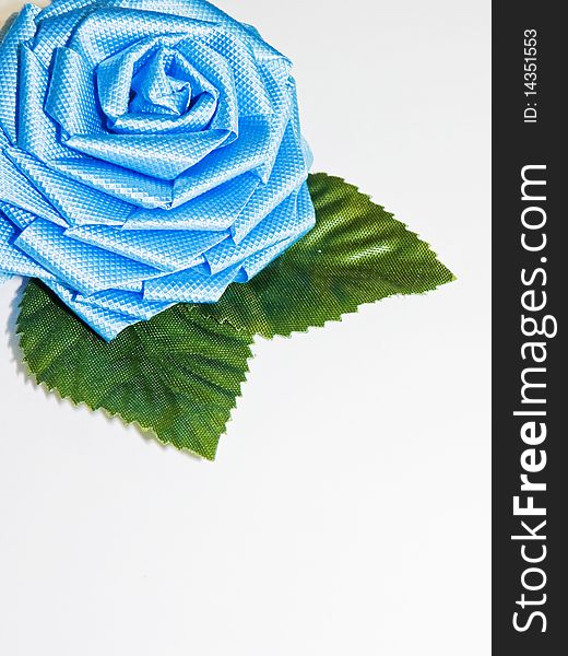 Blue Rose