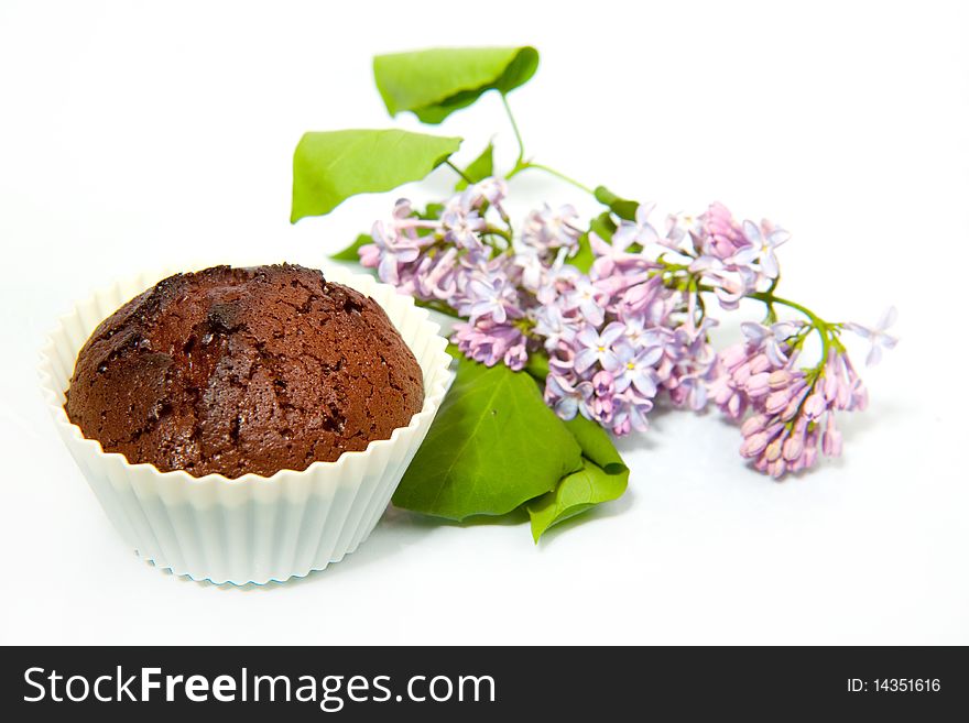 Fresh Chocolate Muffin with lilac over white background