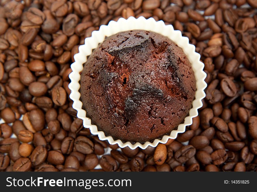 Chocolate Muffin on a coffee beans