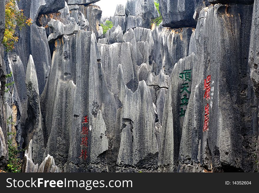 The stone of the province stone park wood of Yunnan, China view wood. The stone of the province stone park wood of Yunnan, China view wood