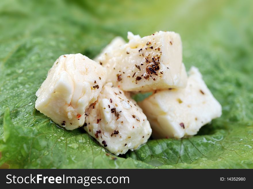 White cheese on green leaf. White cheese on green leaf