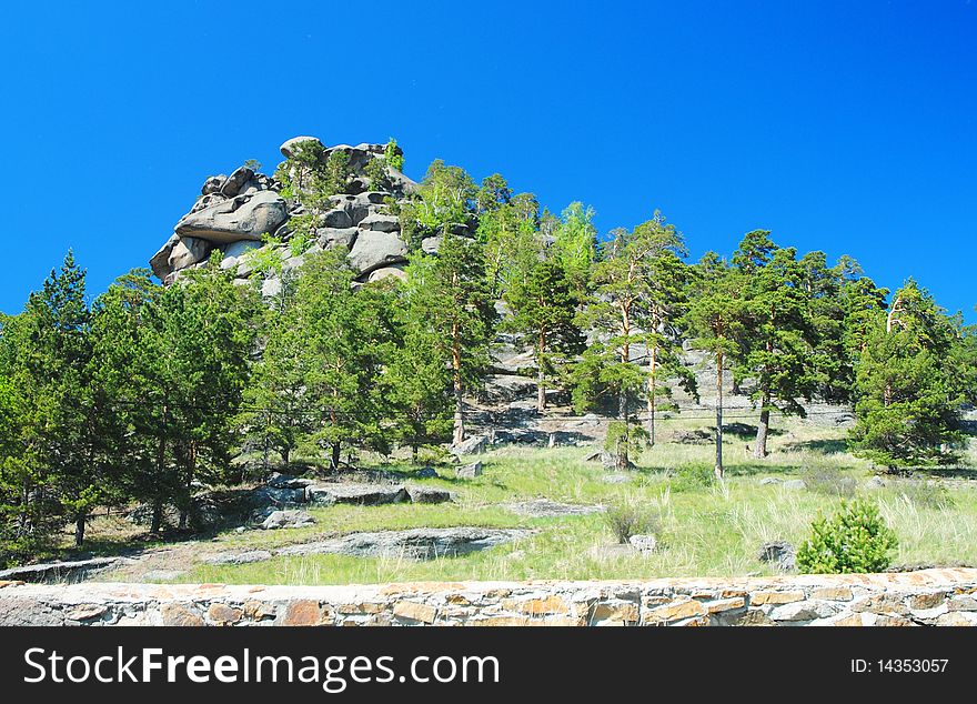 Landscape with pines fnd hills over blue sky background