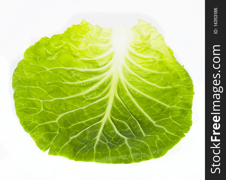 Juicy sheet young cabbage isolated on white background