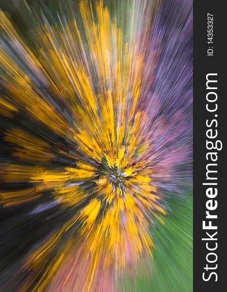 Wonderful colorful radial abstract shot. Wonderful colorful radial abstract shot