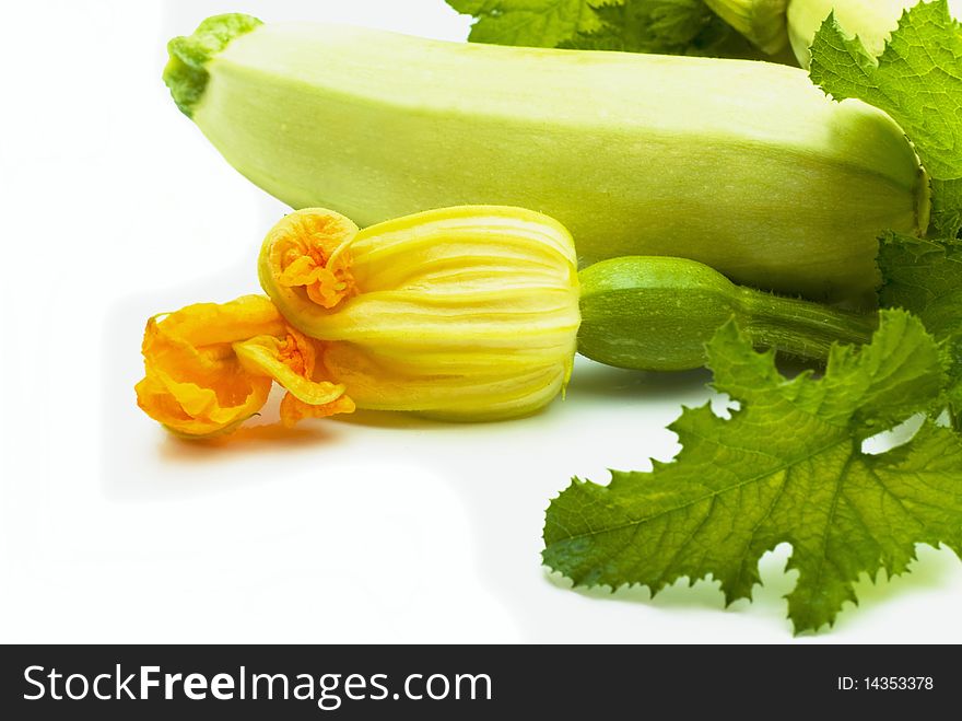 Fresh vegetable marrow isolated on white background. Fresh vegetable marrow isolated on white background