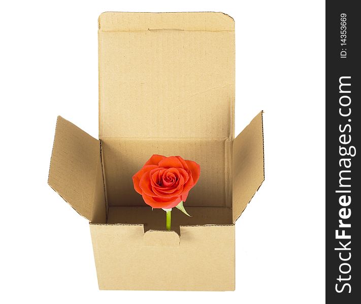 Cardboard box  and rose