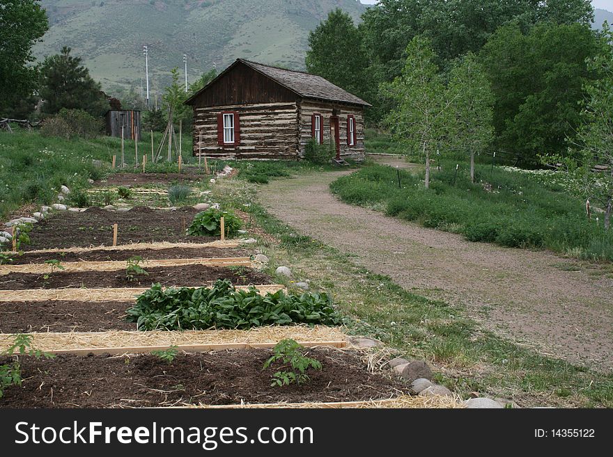 Colorado Pioneer Cabin