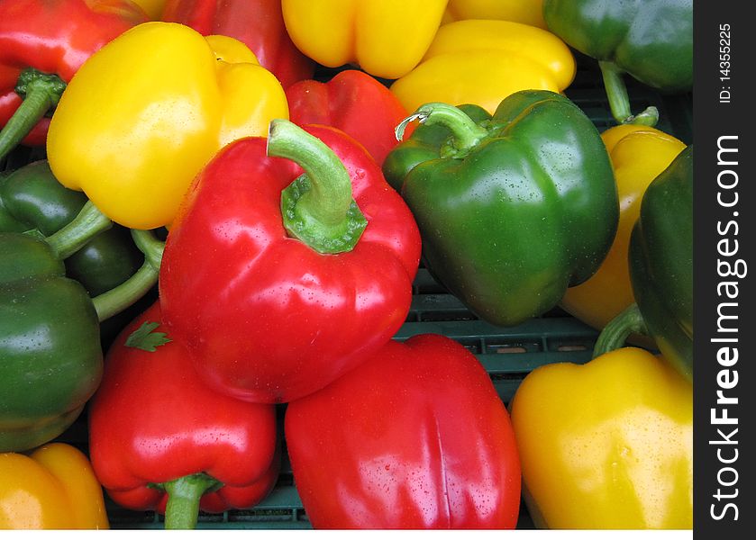 Three colours on pepper - Closeup image