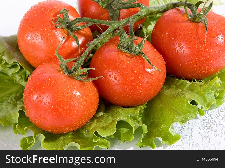 Branch with red tomatoes in water splashes on salad leaves. Branch with red tomatoes in water splashes on salad leaves