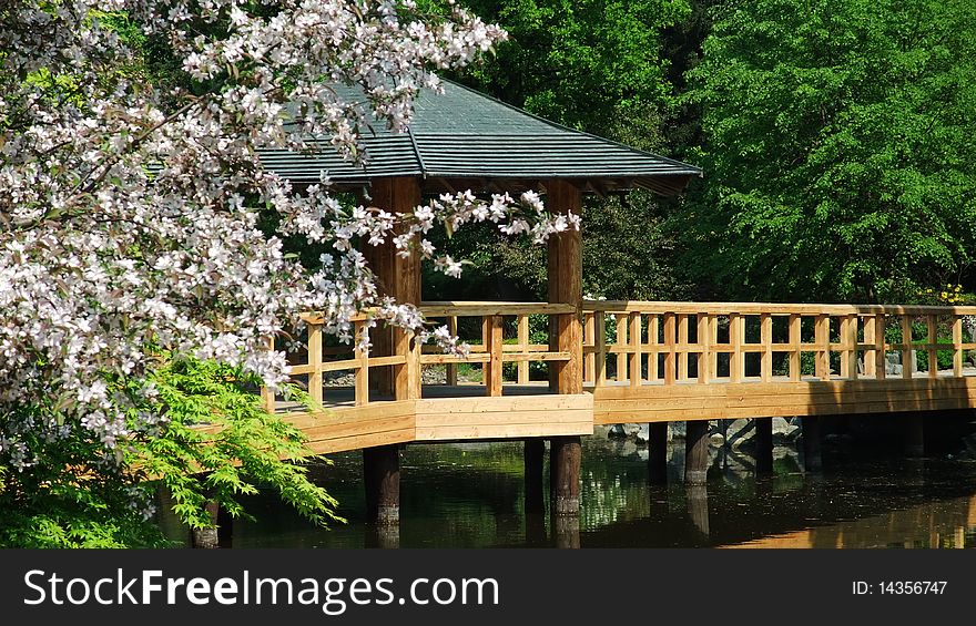 Japanese garden in summer time