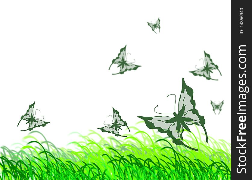 Butterflies and grass on a white background. Illustration