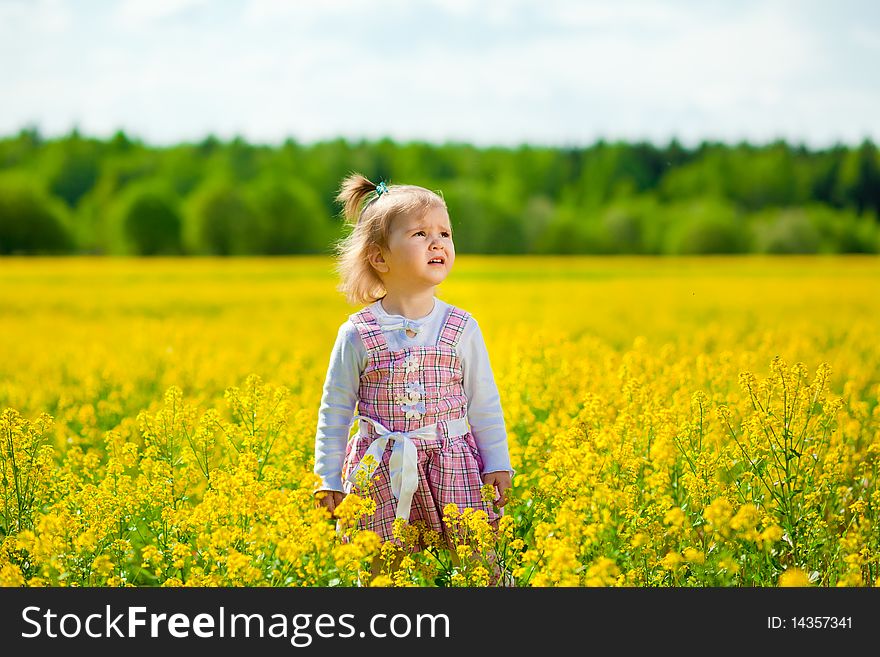 Girl On The Meadow