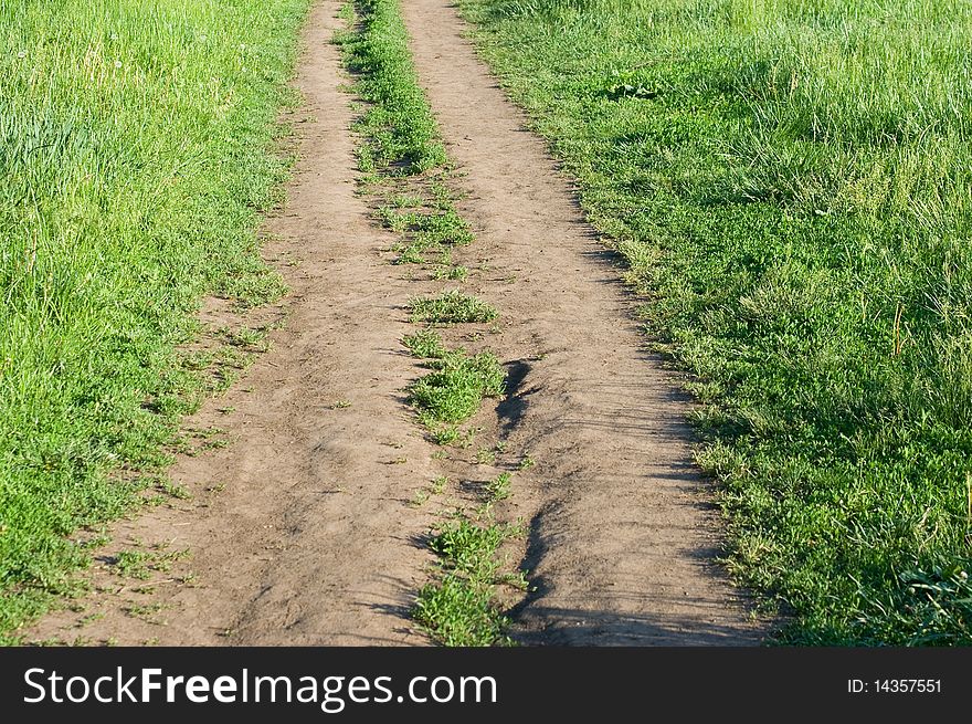 Road in field at spring.