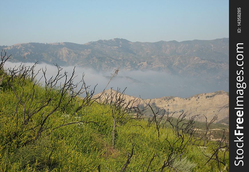 Santa Clarita Valley experiences yearly fires and the plant life always recovers. Santa Clarita Valley experiences yearly fires and the plant life always recovers.