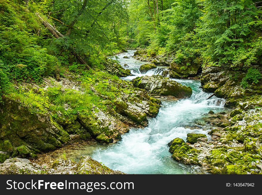 The Vintgar Gorge or Bled Gorge is a walk along gorge in northwestern Slovenia. The Vintgar Gorge or Bled Gorge is a walk along gorge in northwestern Slovenia