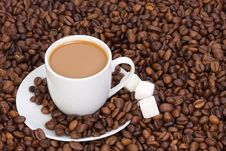 Cup Of Coffee At Beans Stock Photos Cup Of Coffee At Beans Stock Photos