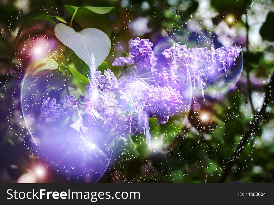 Flowering lilac, magically luminous, fairy-tale