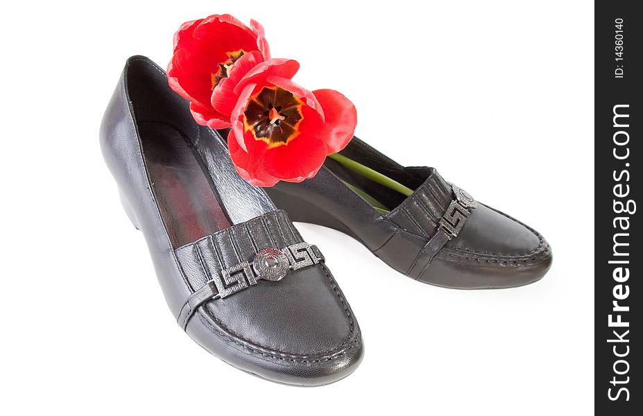 Women's Black shoes and tulips. Black and red