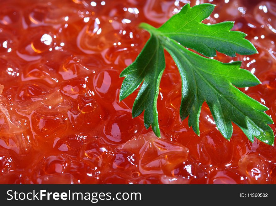 Red caviar as a background with a branch of green parsley.
