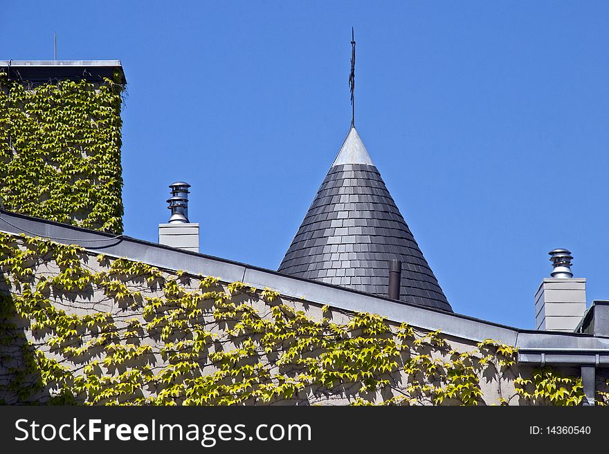 Vine covered exterior house wall and chimney in the city of Montreal, Canada