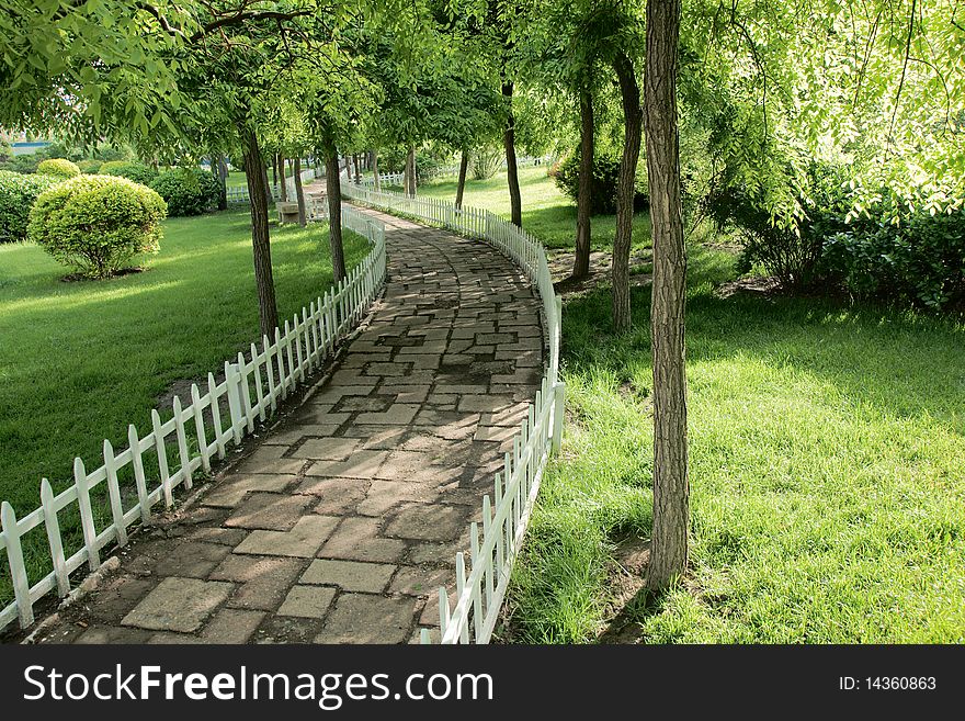 Summer scenery in the park