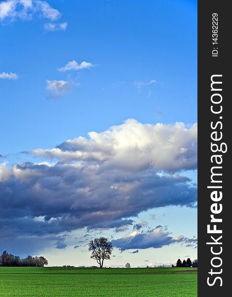 Landscape with acres,trees and dark clouds at the sky