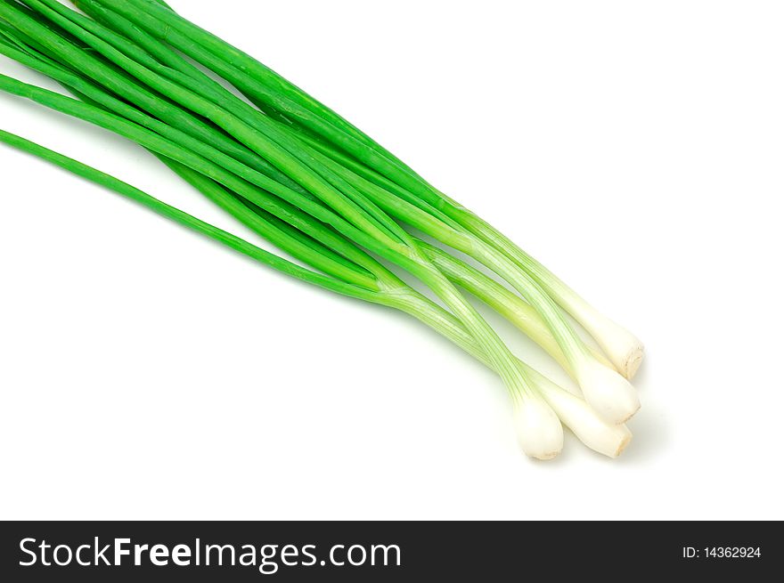 Onion green on a white background