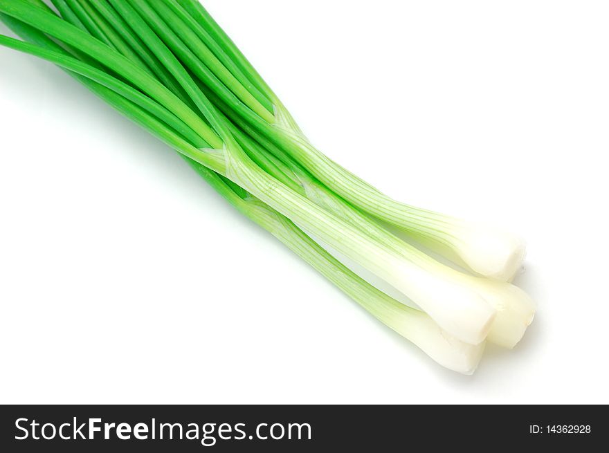 Onion green on a white background