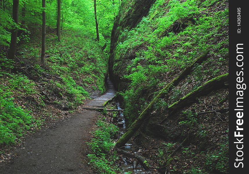 Drachenschlucht, a path in the Thuringian Forest, Germany. Drachenschlucht, a path in the Thuringian Forest, Germany