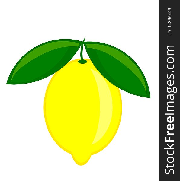 Fresh lemon with leaves. Vector illustration. Fresh lemon with leaves. Vector illustration