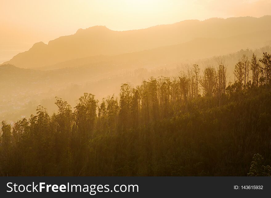 Beautiful view of the golden light on the hills of Monte Funchal on the island Madeira at sunset in summer. Beautiful view of the golden light on the hills of Monte Funchal on the island Madeira at sunset in summer