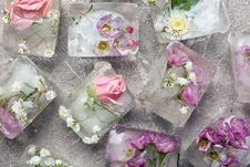 Floral Ice Cubes On Table Stock Photo