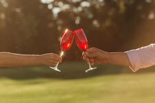 Two Red Wine Glasses In Woman Hand And Man Hand On Nature Background Royalty Free Stock Image