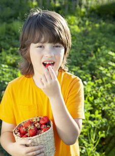 Happy Child Eating Strawberries Near A Sunny Garden With A Summer Day Stock Images