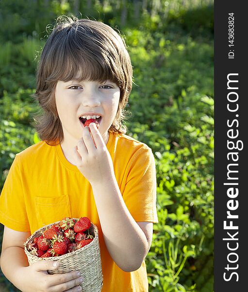 Happy child eating strawberries near a sunny garden with a summer day.